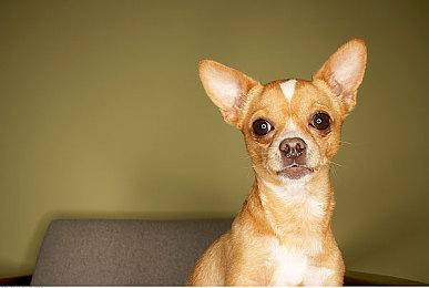 KK吐槽大会即将开播，4月8日看K妹暴打策划，现场直播送50万U币大奖！